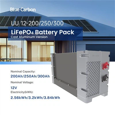 Pack de batterie au lithium-ion rechargeable Blue Carbon 12 volts