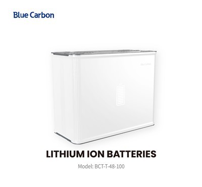 Système bleu de stockage d'énergie de maison de batterie d'ion de lithium du carbone 48V 100Ah